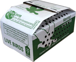 20 Baby Chick Boxes