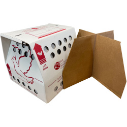 3 Original Economy w/DIVIDERS